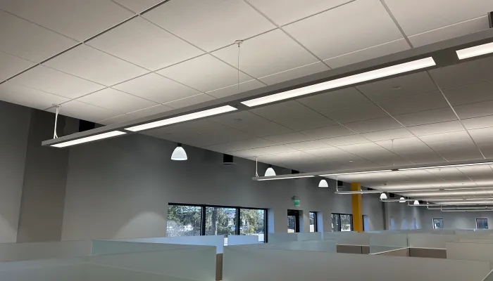 A renovated office utilizing LLLCs