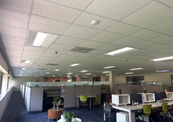 A shot of a well lit office space recently remodeled. 